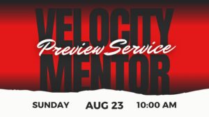 Mentor Preview Service